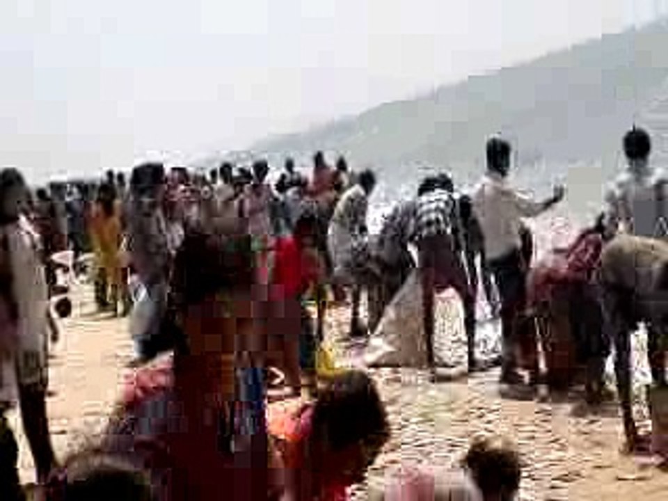 How to Catch Fish in Beach