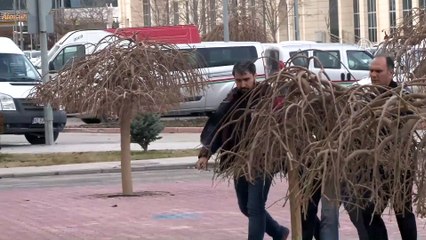 Durakta yolcu gibi bekleyen polisler zanlıları suçüstü yakaladı - KONYA