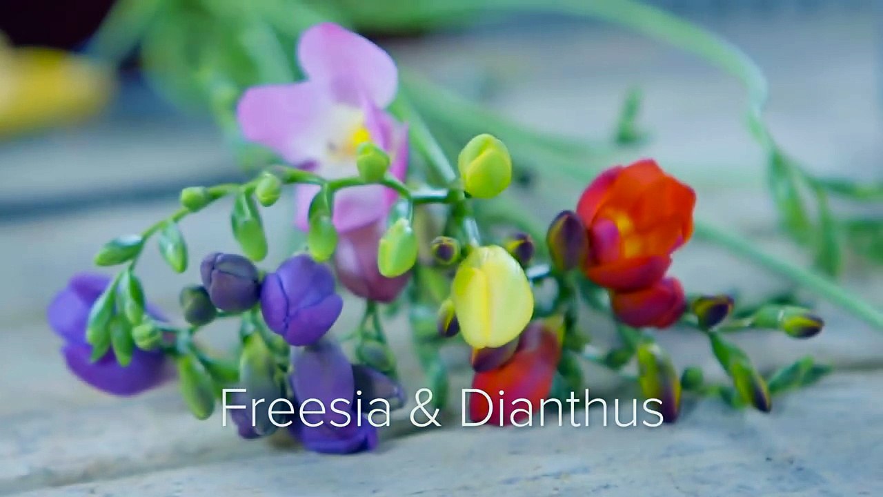 Unusual flower arrangement _ Inspired by Florists _ Iris van Werkhoven-SeVA-p9POs8