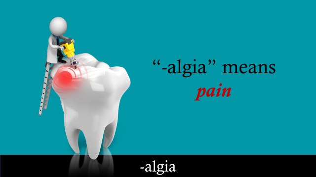 Medical Terminology Video Tutorial: The Suffix -algia