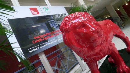 Reportage - Reportage