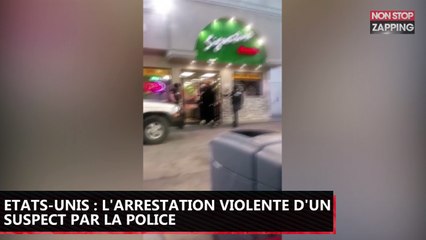 Etats-Unis : l'arrestation violente d'un suspect par la police, la vidéo polémique