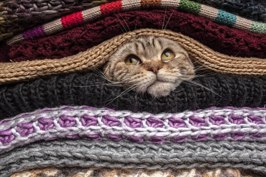 3 conseils pour se mettre au tricot