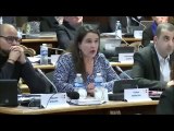 Céline MAGLICA. Budget et tarifs 2018 pour le MuseoParc Alésia. Session du 18 décembre 2017