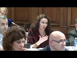 Sandrine HILY. Voeu JEFTA. Session du 18 décembre 2017