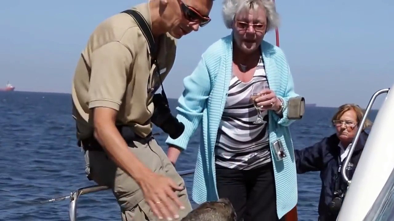 alvis Bay, Namibia (HD)_