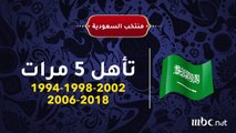 أهم إنجازات المنتخبات العربية في المونديال