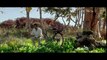 PADMAN Official Trailer - Akshay Kumar - Sonam Kapoor - Radhika Apte - 26th Jan 2018 - YouTube