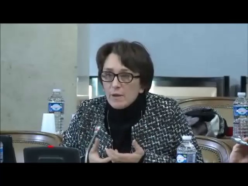 Céline TONOT. Budget 2018 pour l'aménagement numérique. Session du 18 décembre 2017