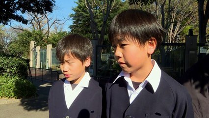 Una bebé panda nacida en Japón se estrena ante la prensa