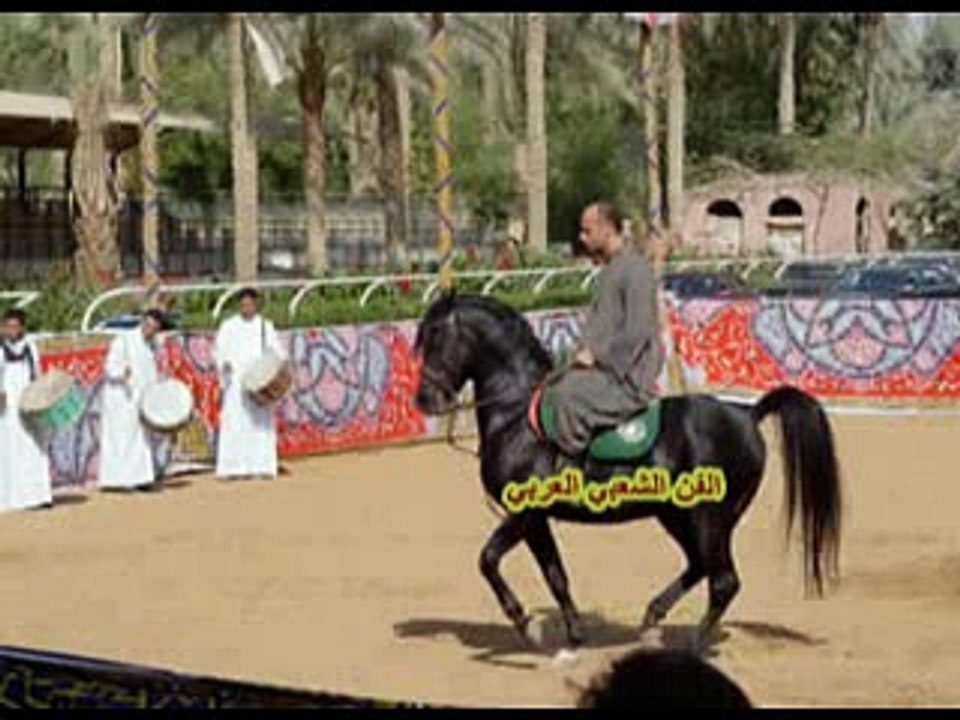 الناصر بن ضياف التليلي - برق