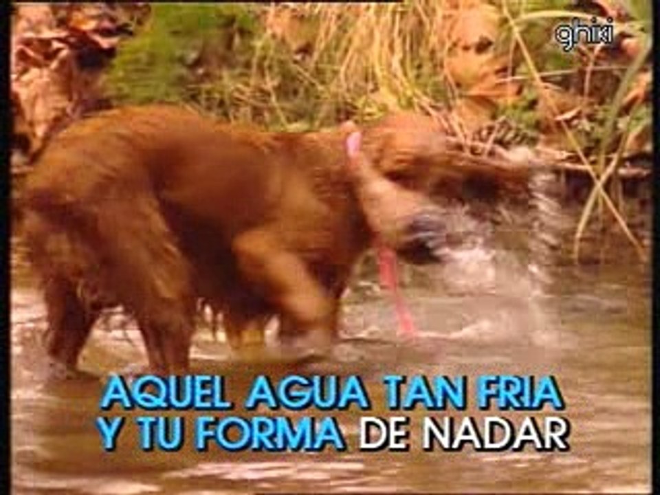 Miguel Rios - El río (Karaoke)