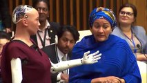 UN Deputy Chief Interviews Social Robot Sophia