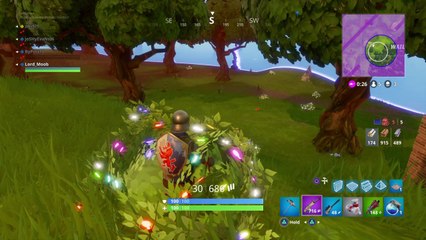 Fortnite Solo Squad Win!