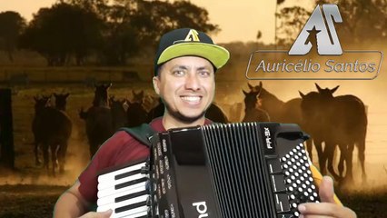 Forró de vaquejada com sanfona brasileira