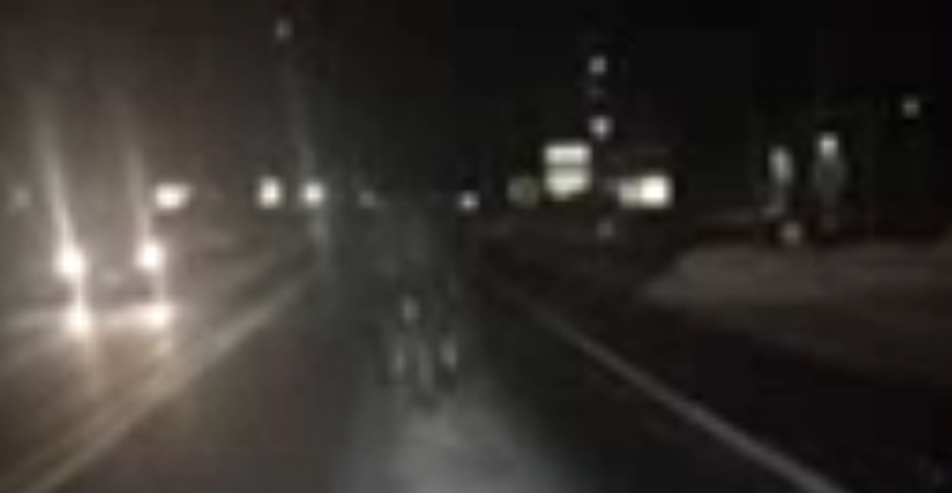 Cow Leads Upstate New York Police on Chase