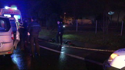 TEM’de kamyonetin çarptığı yaya hayatını kaybetti