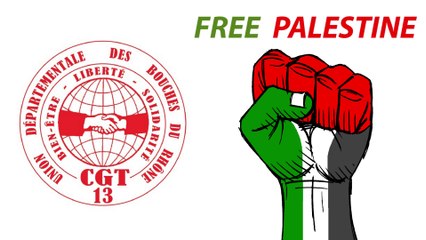 Intervention Palestine UD CGT 13