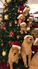 Christmas Tree Full of Doggos