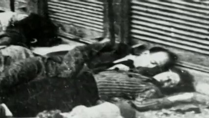כל האמת על אנטונסקו - סרטו של פרפ' אדריאן