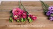 a Sweet Bouquet by Nelleke Bontje _ Flower Factor How to Make _ Powered by Van der Lugt Lisianthus-S6HlCMLz-9s