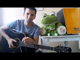 o menino da porteira solo da musica vander ribeiro