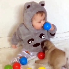 Phòng khám đa khoa Đại Đông - Baby and dogs