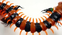 Super Creepy Toys Collection R_C Spider Cockroach Centipede Ant Hercules Beetle-QwpFya2nkps