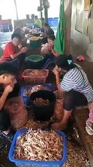Rút xương gà...bằng miệng