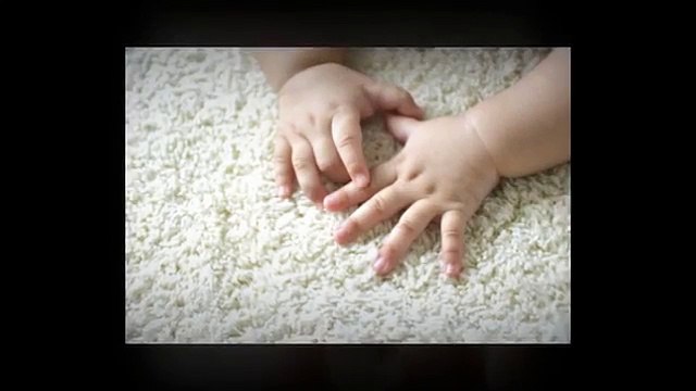 Choose The Best Carpet Cleaning Company For Your Needs