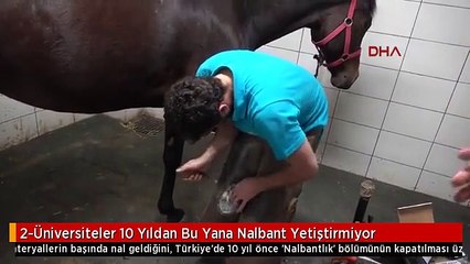 2-Üniversiteler 10 Yıldan Bu Yana Nalbant Yetiştirmiyor