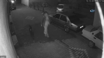 Sokak Köpeğini Silahla Vurdular... O Anlar Güvenlik Kamerasında
