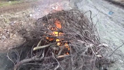 Bal Avcıları İş Başında