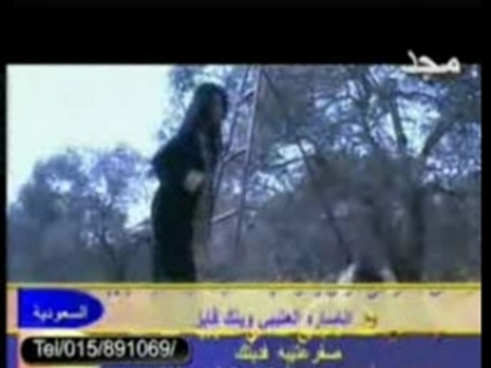 Muhammad mounir al zaytoon