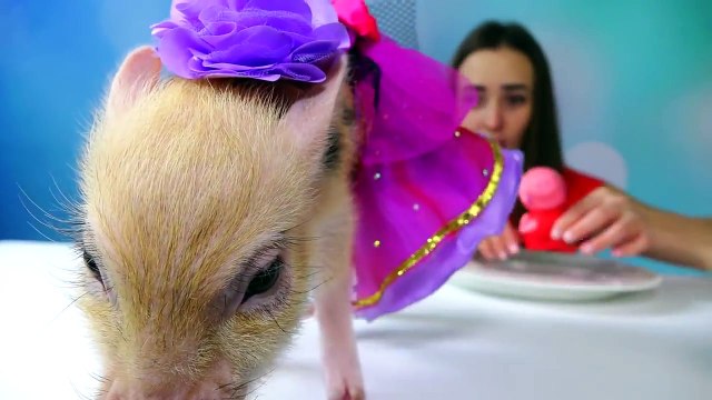 Обычная Еда против Мармелада Челлендж! Мама ПЛАЧЕТ! Real Food vs Gummy Food - Candy Challenge[4]