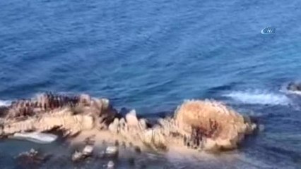 Ege'de 18 Bin Mülteci Yakalandı