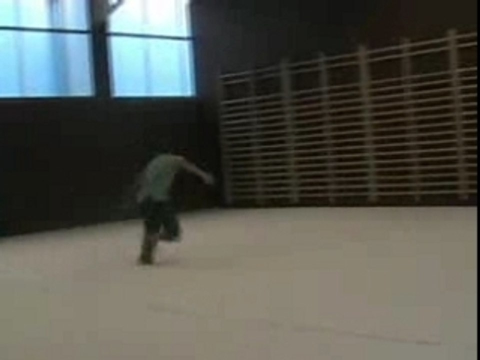 TRICKING Flow Sampler 2