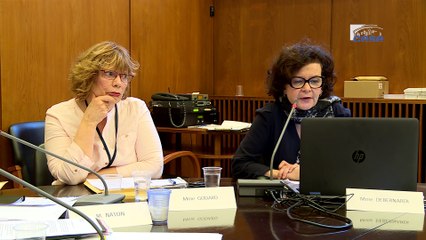 Audition sur la Fin de Vie - cese