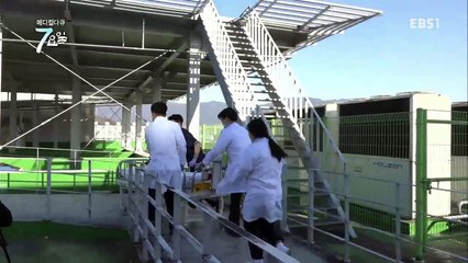 메디컬 다큐 7요일 - 청춘을 앗아간 지옥 같은 통증- 복합부위통증증후군 외_#001