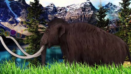 3D Dinosaurus Water Animation Finger Family Nursery Rhymes by KidsW