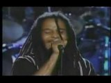 Stephen  Rohan Ziggy Damian Marley