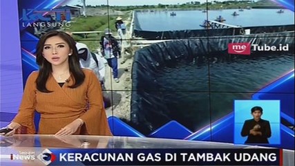 Keracunan Gas, 4 Pekerja Tambak Udang Dilarikan ke RS