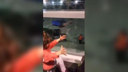 Young girls share heartwarming dance with Dallas Airport worker