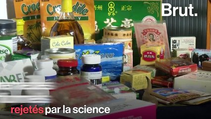 Gélatine d'âne, poudre de rhinocéros... Ces remèdes traditionnels cachent un énorme trafic animaux