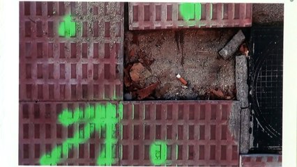 Exposicion Caligrafias Extranas en la Sala Jose Saramago