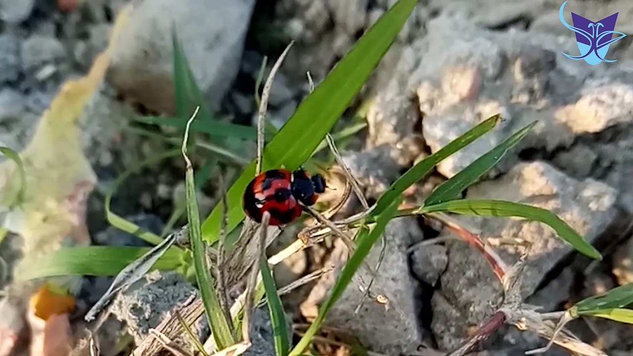 A Glimpse at Office Space for Rent in Salt Lake Sector V