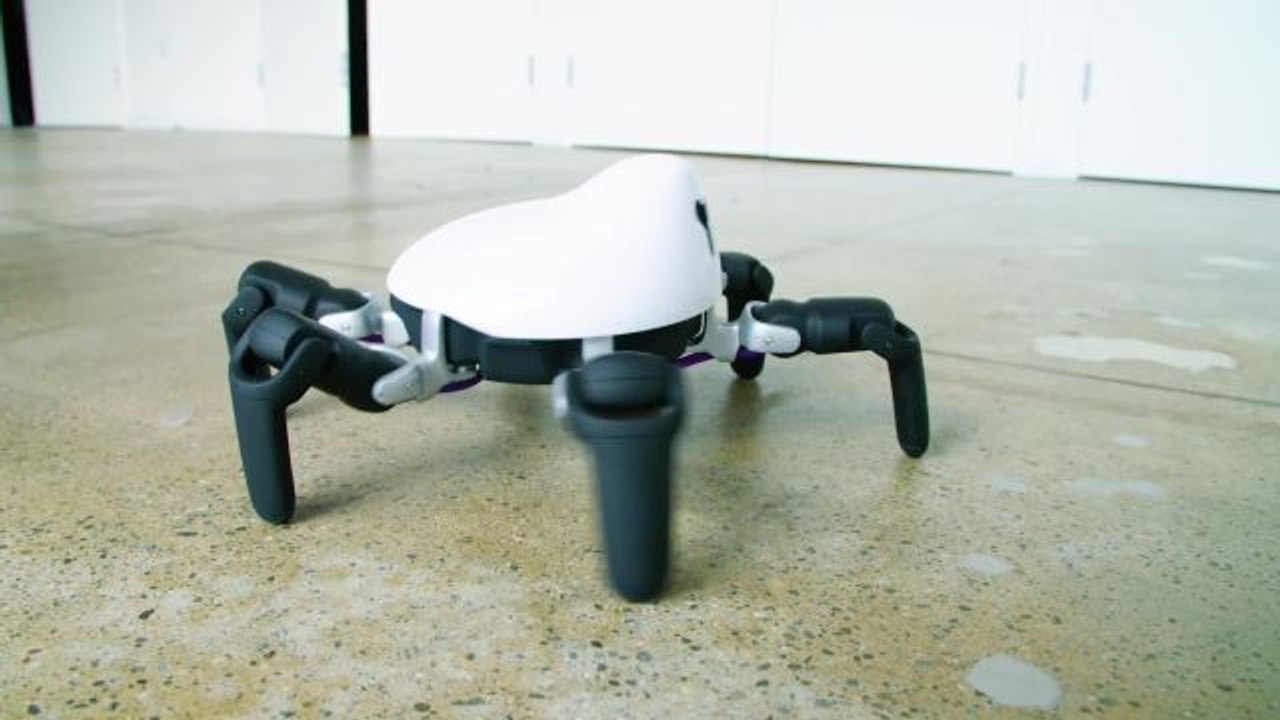 The Year Robots Went Everywhere