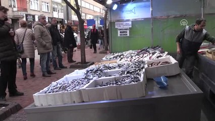 Karadeniz'de Sıcak Hava Balıkçıları Üzdü