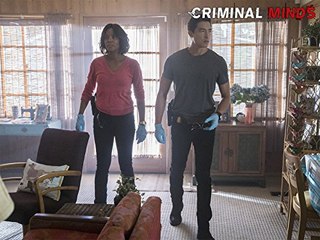 Criminal Minds Season 13 Episode 10 HD Full - Watch Series