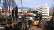 Reportage - La ville de Grenoble plante des arbres